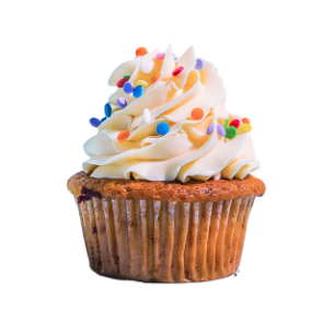 Sprinkled Vanilla Cupcake